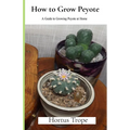 How to Grow Peyote: A Guide to Growing Peyote at Home