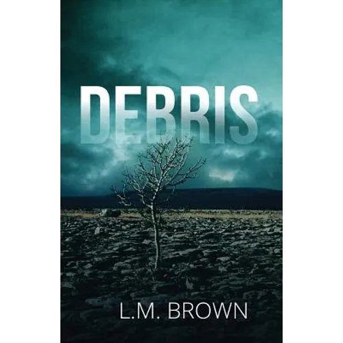 Debris