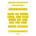 Overwhelmed: How to Work, Love, and Play When No One Has the Time