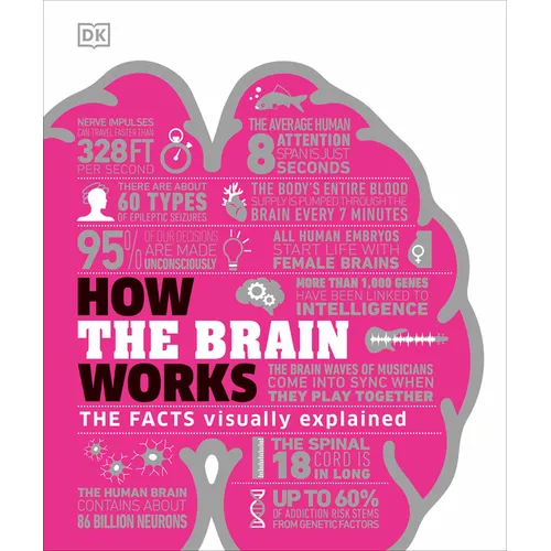 How the Brain Works: The Facts Visually Explained