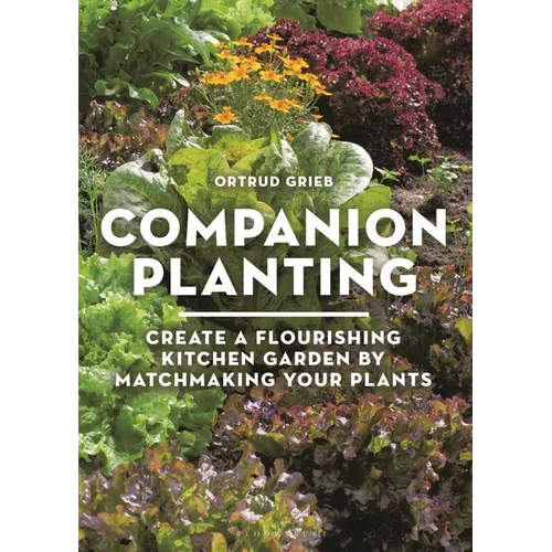 Companion Planting: Create a Flourishing Kitchen Garden by Matchmaking Your Plants