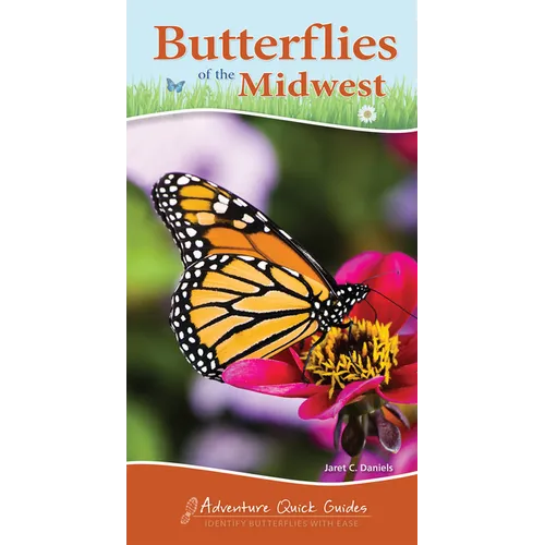 Butterflies of the Midwest: Identify Butterflies with Ease