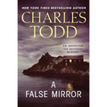 A False Mirror