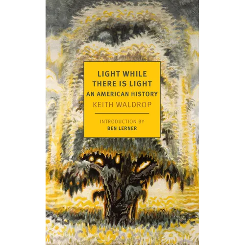 Light While There Is Light: An American History
