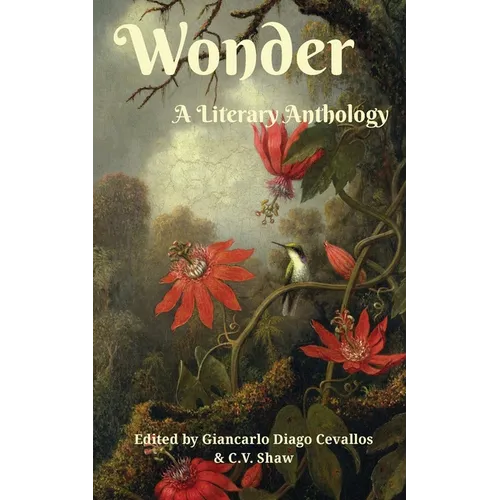 Wonder