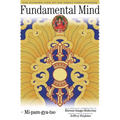Fundamental Mind: The Nyingma View of the Great Completeness