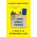 The Sum of Small Things: A Theory of the Aspirational Class