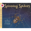 Spinning Spiders