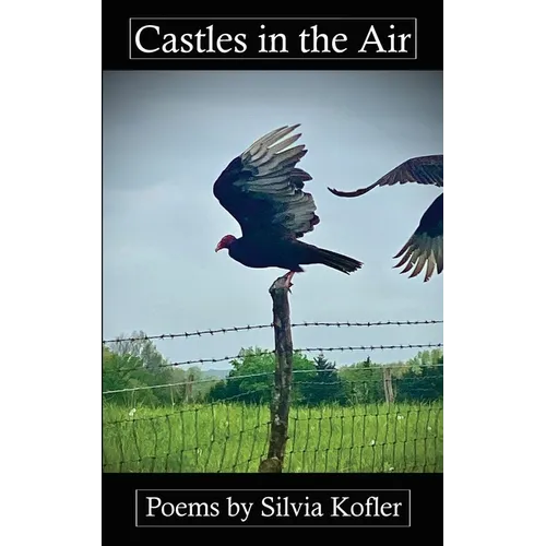 Castles in the Air