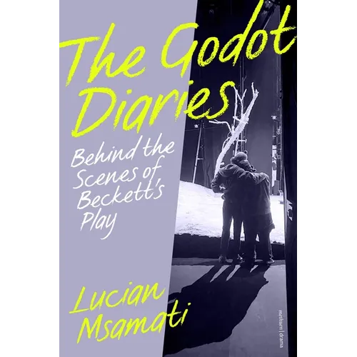 The Godot Diaries: Behind the Scenes of Beckett's Play