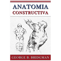 Anatomia Constructiva