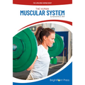 The Human Muscular System