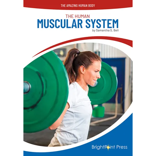 The Human Muscular System