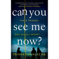 Can You See Me Now?