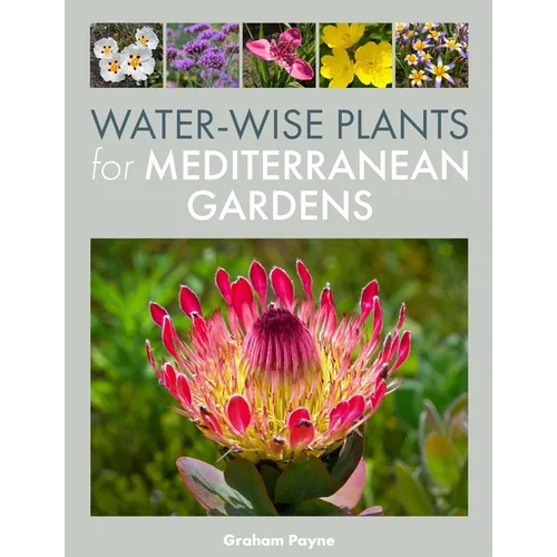 Water-Wise Plants for Mediterranean Gardens