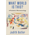 What World Is This?: A Pandemic Phenomenology