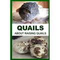 Quails: About Raising Quails