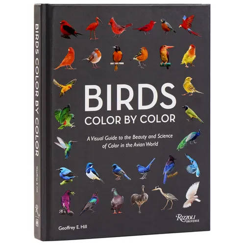 Birds Color by Color: A Visual Guide to the Beauty and Science of Color in the Avian World