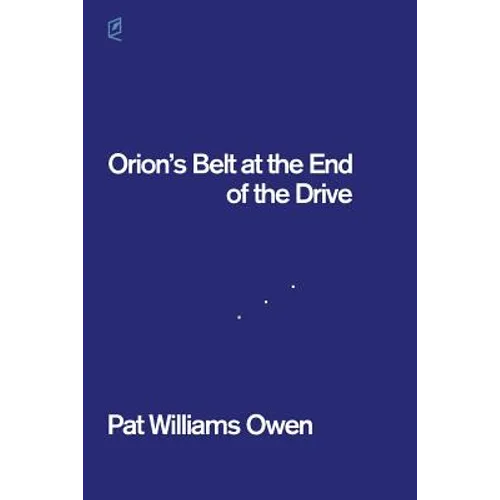 Orion's Belt at the End of the Drive