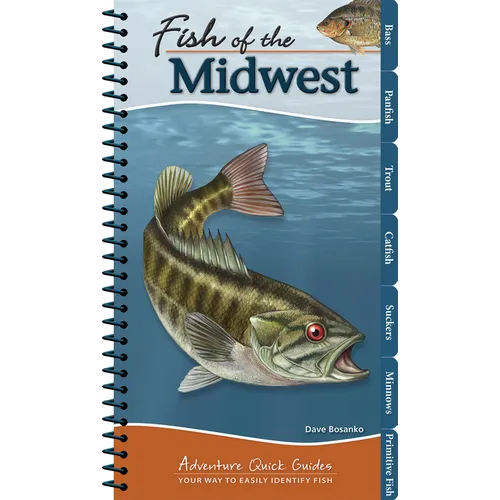 Fish of the Midwest: Your Way to Easily Identify Fish