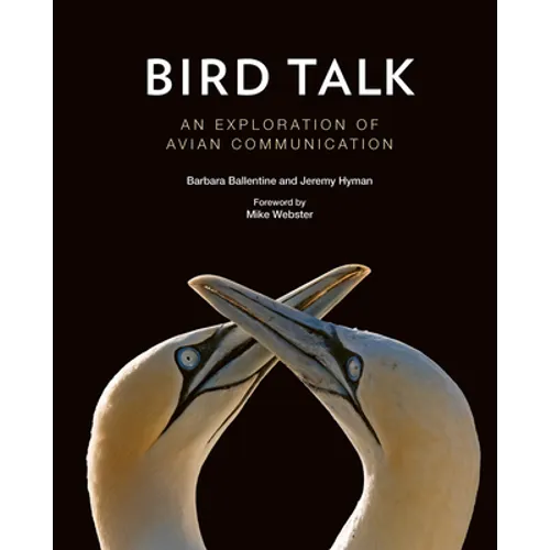 Bird Talk: An Exploration of Avian Communication