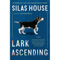 Lark Ascending