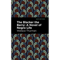 The Blacker the Berry: A Novel of Negro Life