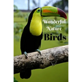 Wonderful Nature Birds: Picture book gift for seniors with Dementia or patients with Alzheimer's. 40 full color photographs of birds, with nam