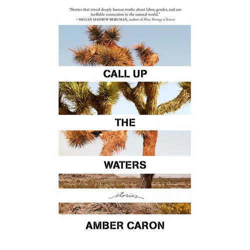Call Up the Waters: Stories
