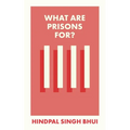 What Are Prisons For?