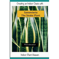 Creating an Indoor Oasis with Sansevieria Snake Plant: Snake Plant book