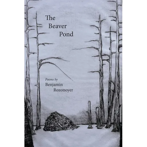 The Beaver Pond