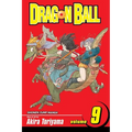 Dragon Ball, Vol. 9: Test of the All-Seeing Crone