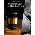 An Overview of Criminal Law for Non-Lawyers