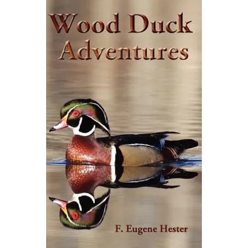 Wood Duck Adventures