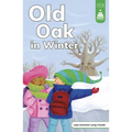 Old Oak in Winter