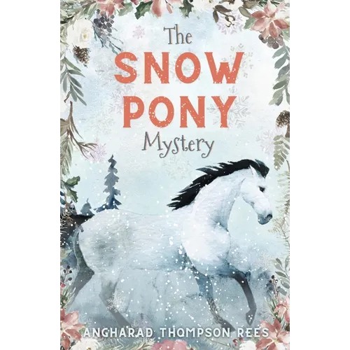 The Snow Pony Mystery