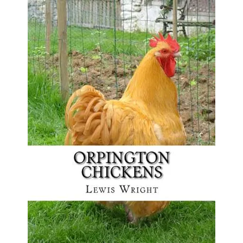 Orpington Chickens: From The Book of Poultry