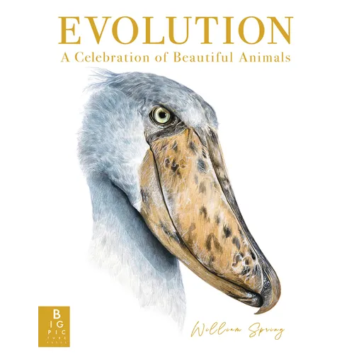 Evolution: A Celebration of Beautiful Animals
