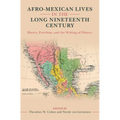 Afro-Mexican Lives in the Long Nineteenth Century