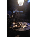 Wittness My Musings and Tourtured observations
