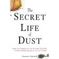 The Secret Life of Dust: From the Cosmos to the Kitchen Counter, the Big Consequences of Little Things