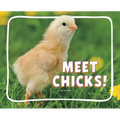 Meet Chicks!