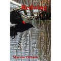 Redwing: Poems by Marvin Orbach