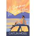 A Summer Without You