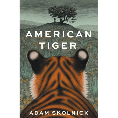 American Tiger