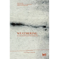 Weathering: Ecologies of Exposure