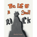 The Life of a Small Rock