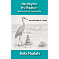 No Rhyme No Reason: Searching for Equanimity