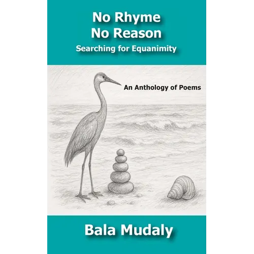 No Rhyme No Reason: Searching for Equanimity